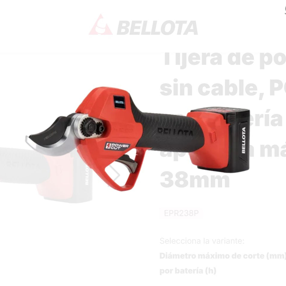 BEEPR238P2B