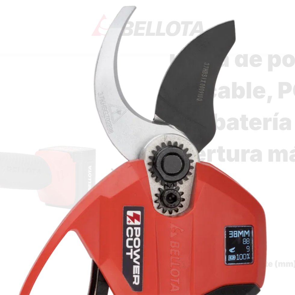 BEEPR238P2B