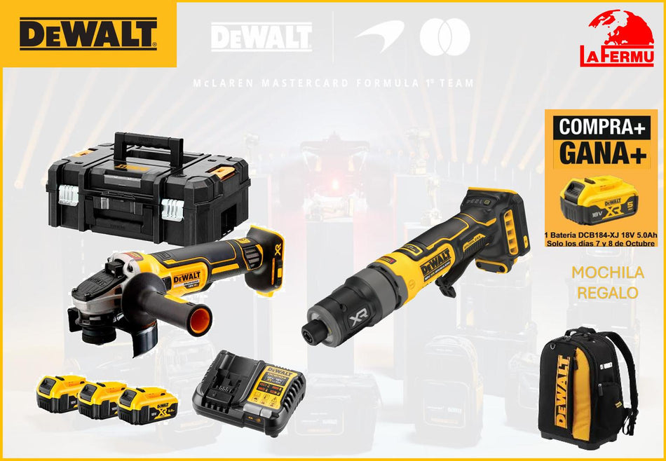 LOTE Nº10 DEWALT JORNADA PUERTAS ABIERTAS OCTUBRE 2026