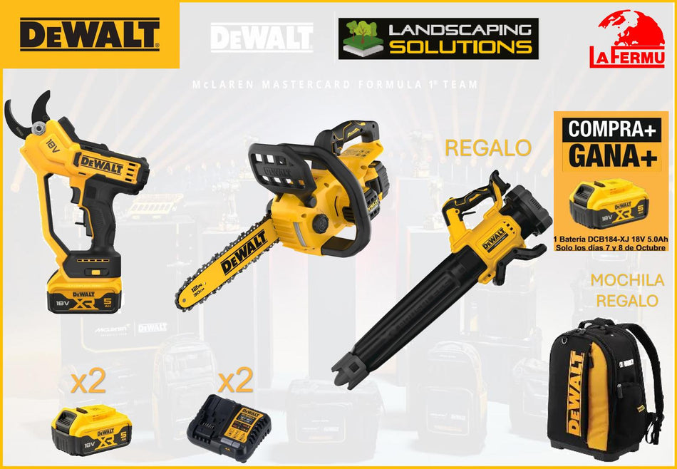 LOTE Nº31 DEWALT JORNADA PUERTAS ABIERTAS OCTUBRE 2026