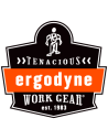 ERGODYNE